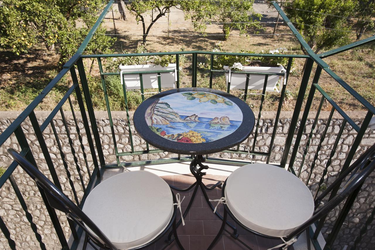 Golfo Delle Sirene Bed & Breakfast Sorrento Ngoại thất bức ảnh